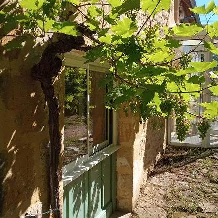 Charmante Maison En Pierre Avec Piscine * Sarlat